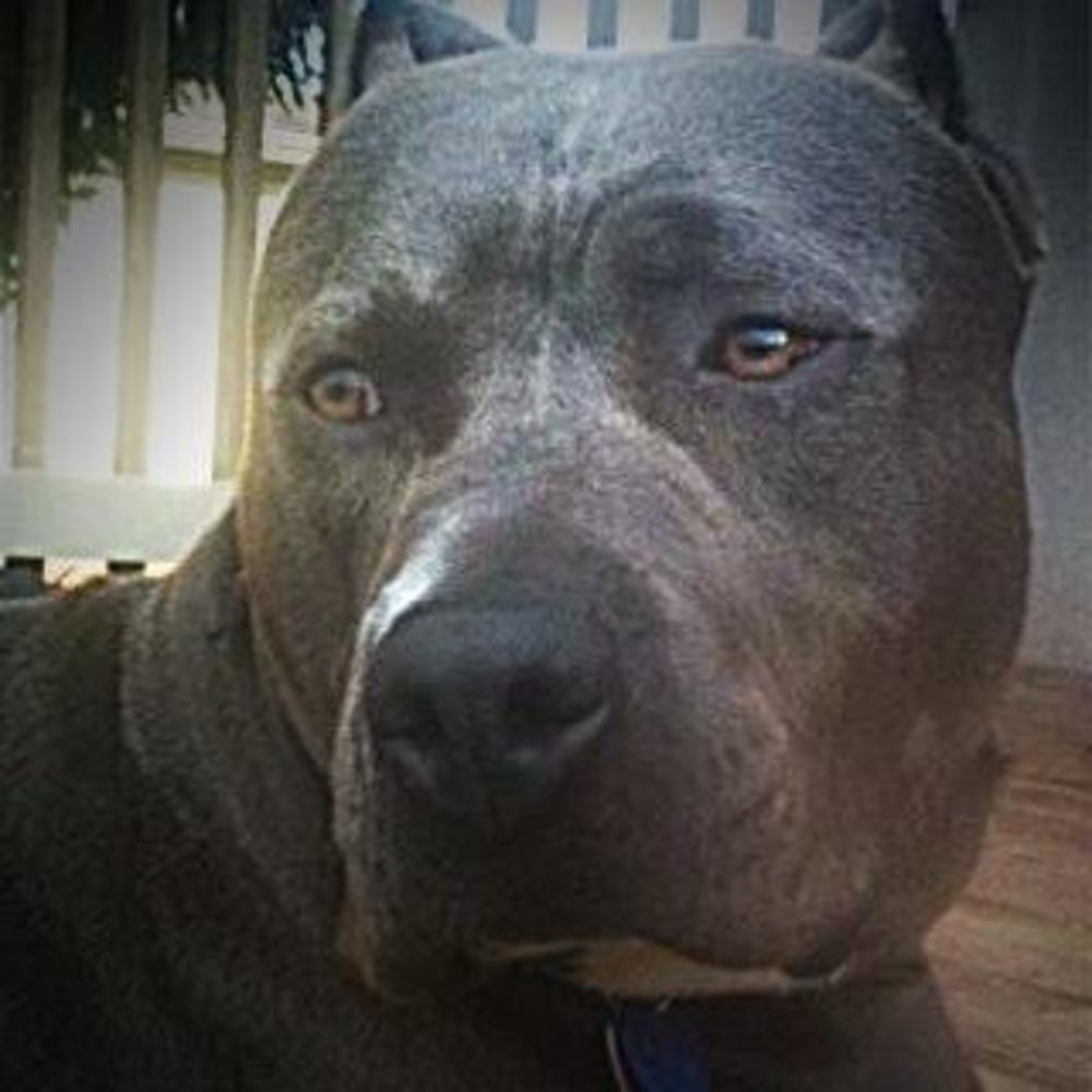 Meet your Posher, Brandy