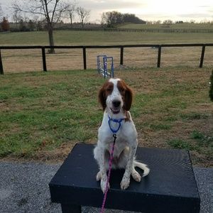 Meet your Posher, Amber