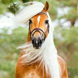 Meet your Posher, June