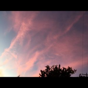 Meet your Posher, Brynn