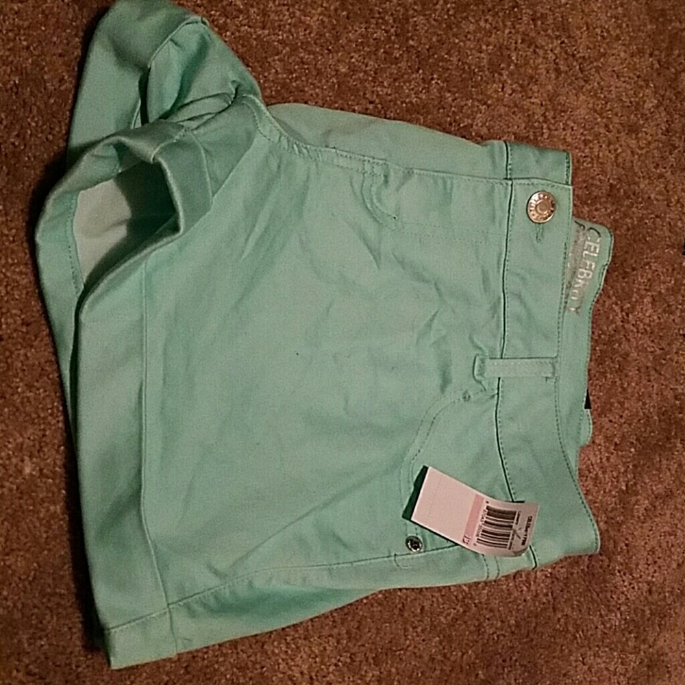 NWT Celebrity Pink mint shorts