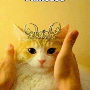 Meet your Posher, Nicki