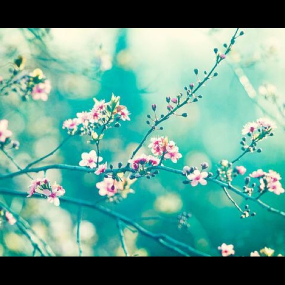 Meet your Posher, Chlor