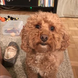 Meet your Posher, Jennifer