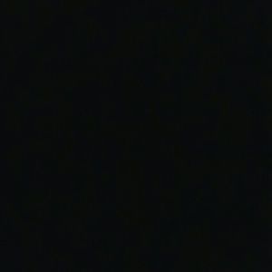 Meet your Posher, Travis