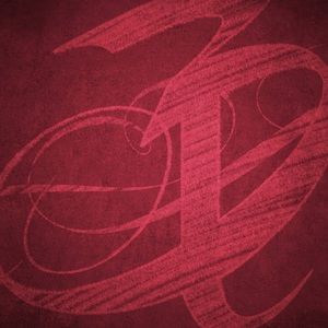 Bundle for Stacy