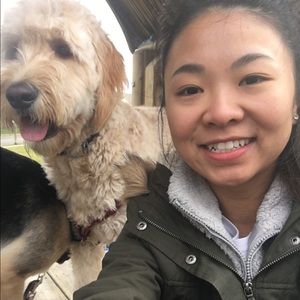 Meet your Posher, Lily