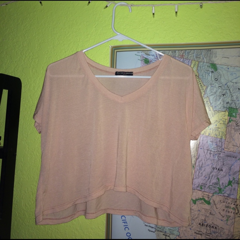 Brandy Melville blush pink crop top!