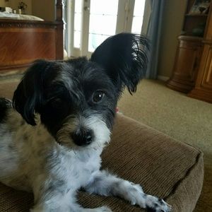 Meet your Posher, Nancy