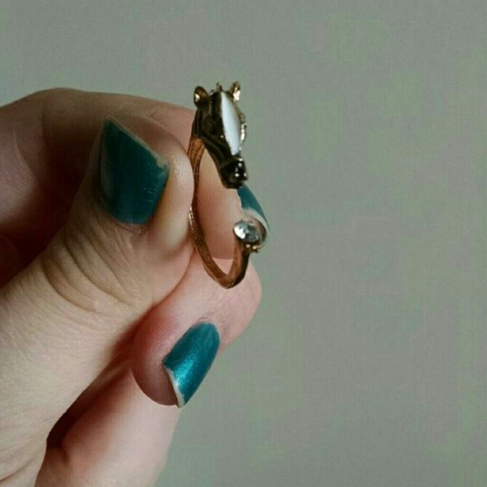 Zebra ring - Picture 3 of 4