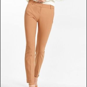 NWOT Express Columnist Ankle Pant 6R