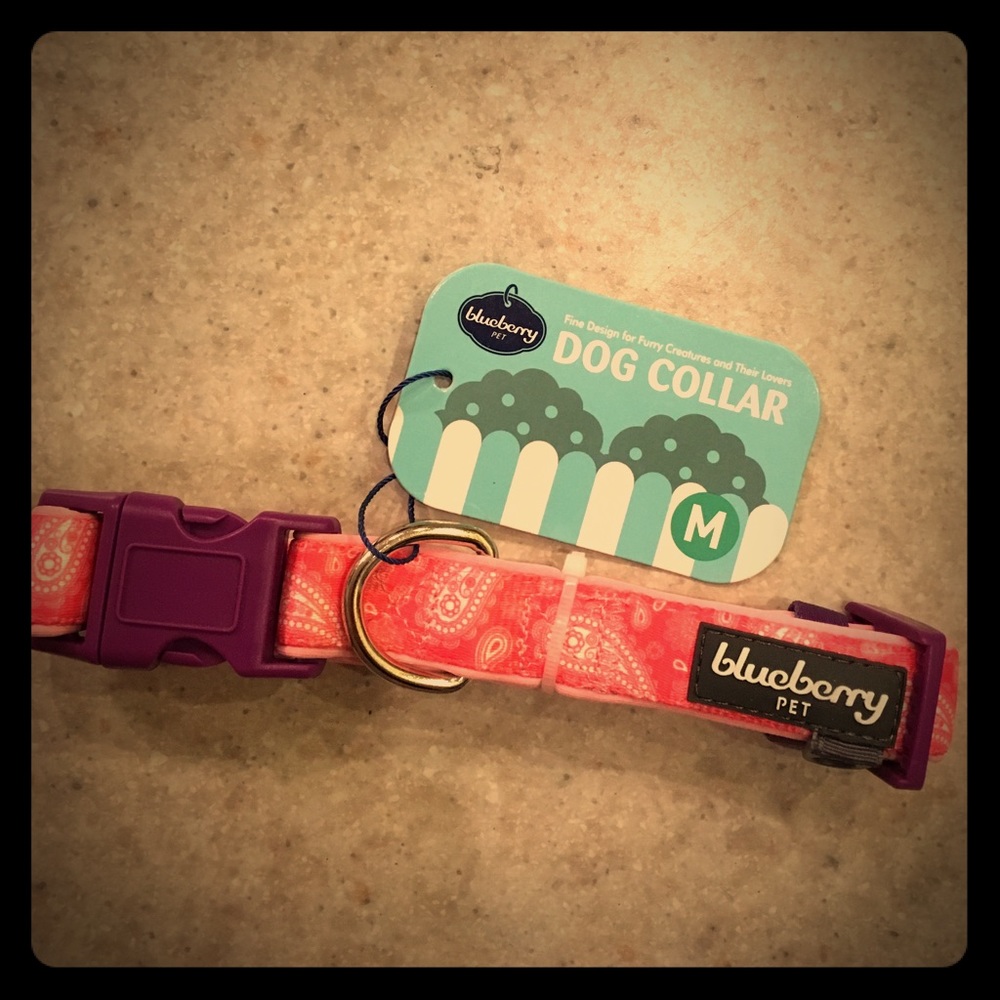 Blueberry Pet Dog Collar
