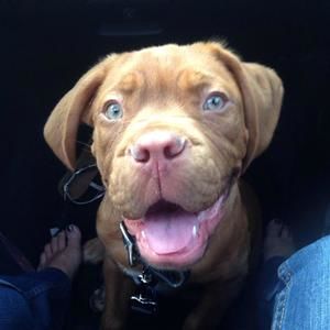 Meet your Posher, Hooch