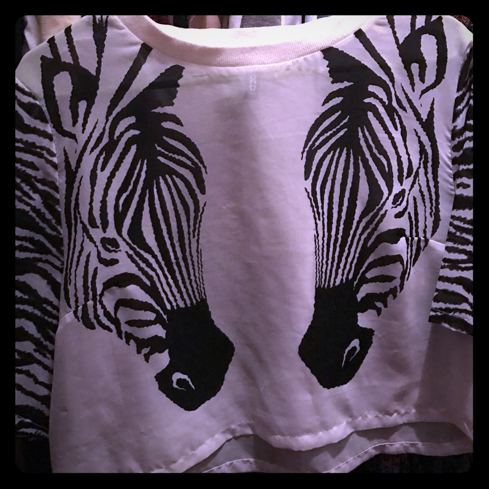 Zebra mesh crop top