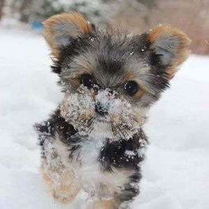 Meet your Posher, Patricia