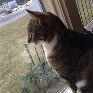 Meet your Posher, Ellie