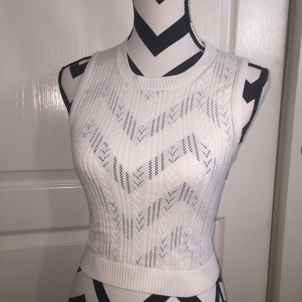 forever 21 cropped sweater vest