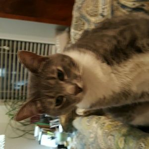 Meet your Posher, Catherine