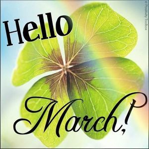 Meet your Posher, Bea