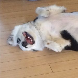 Meet your Posher, Eddie