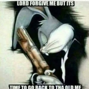 Meet your Posher, Cushion