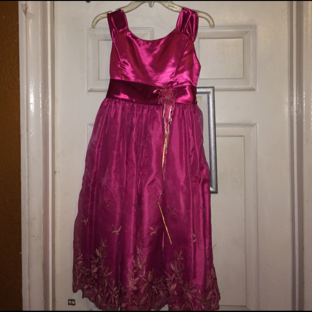 Beautiful, fancy pink dress. In great condition