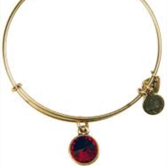 Alex & ani January birthstone bracelet - Picture 1 of 4