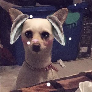 Meet your Posher, Adriana