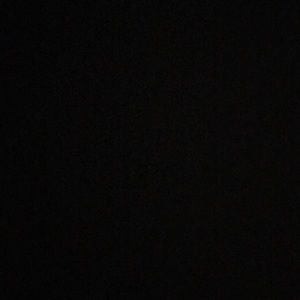 Meet your Posher, Abbey