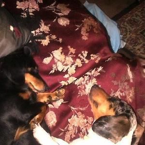 Meet your Posher, Tammy