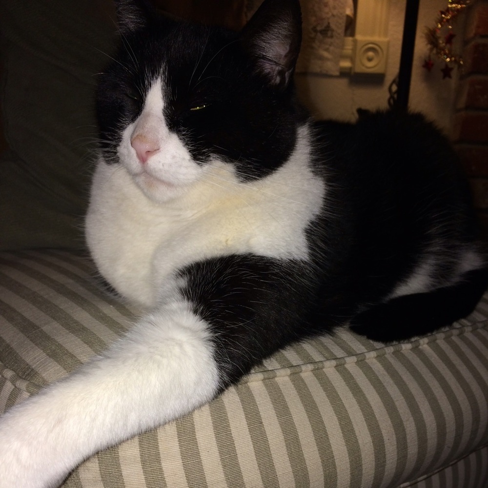 Meet your Posher, Jana