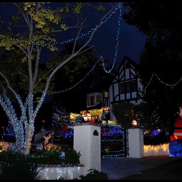 Meet your Posher, Melody - Picture 3 of 4