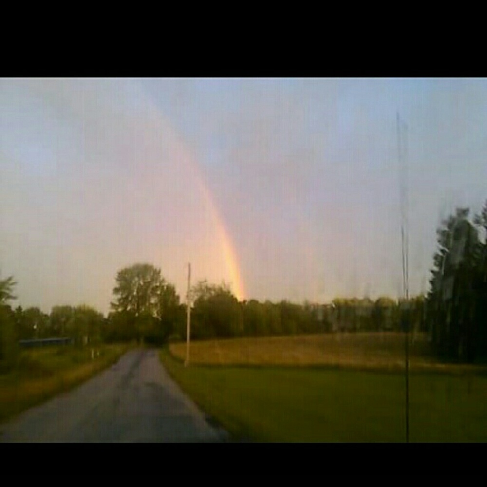 Meet your Posher, Pattie