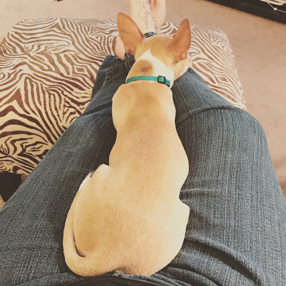 Meet your Posher, Tanya