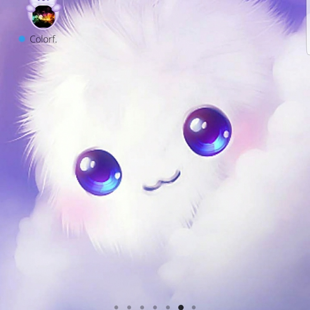 Meet your Posher, Darcee