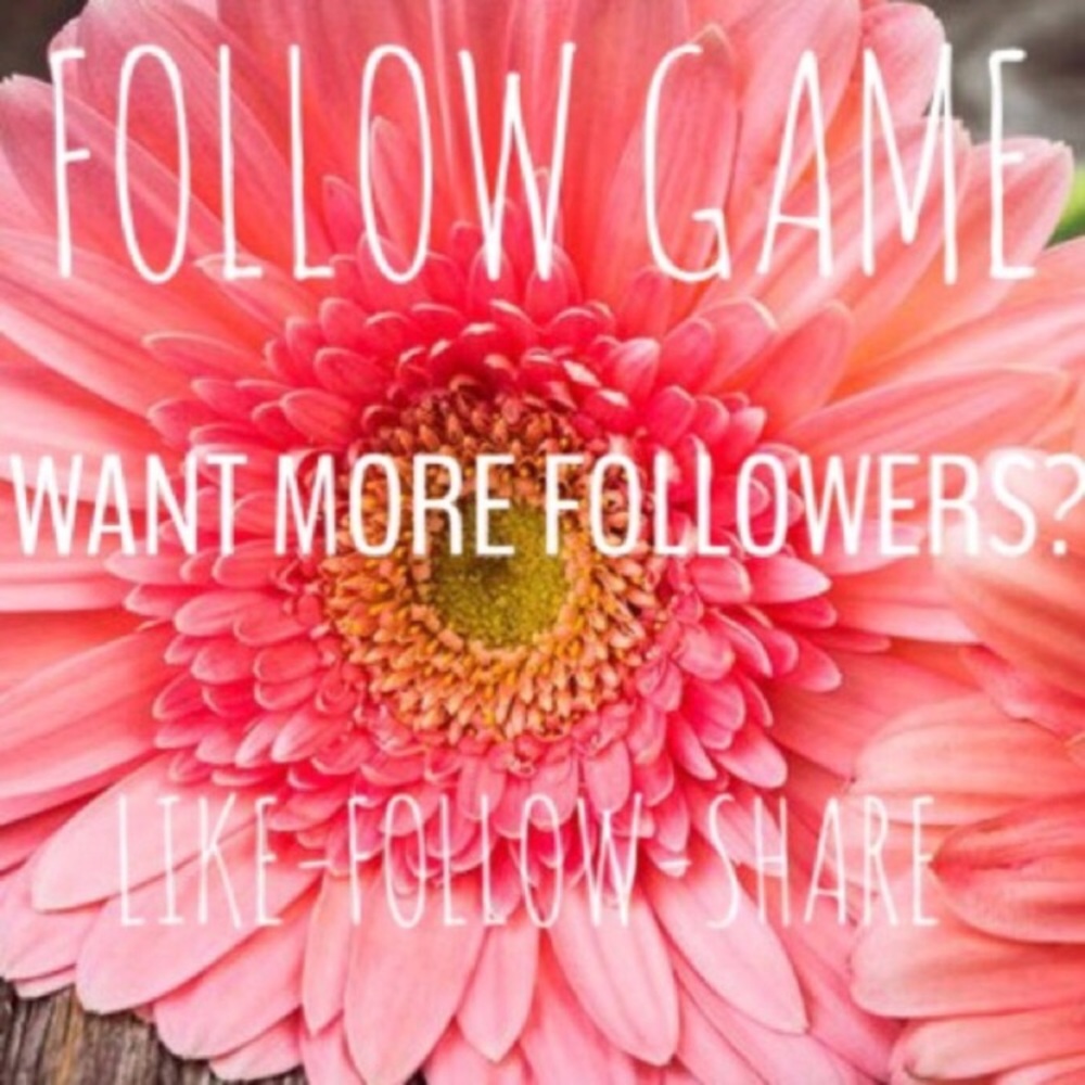Please help me get followers just became a member