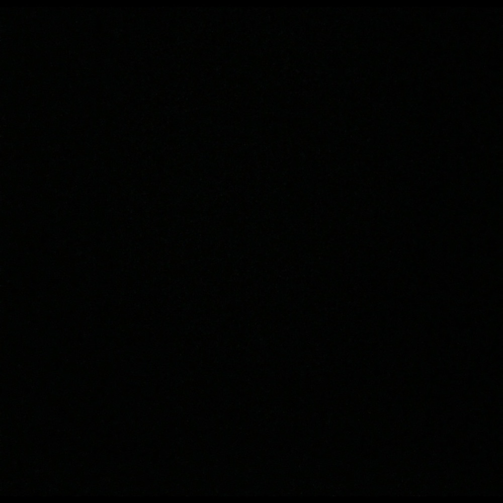 Meet your Posher, Chastity