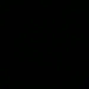 Meet your Posher, Josie