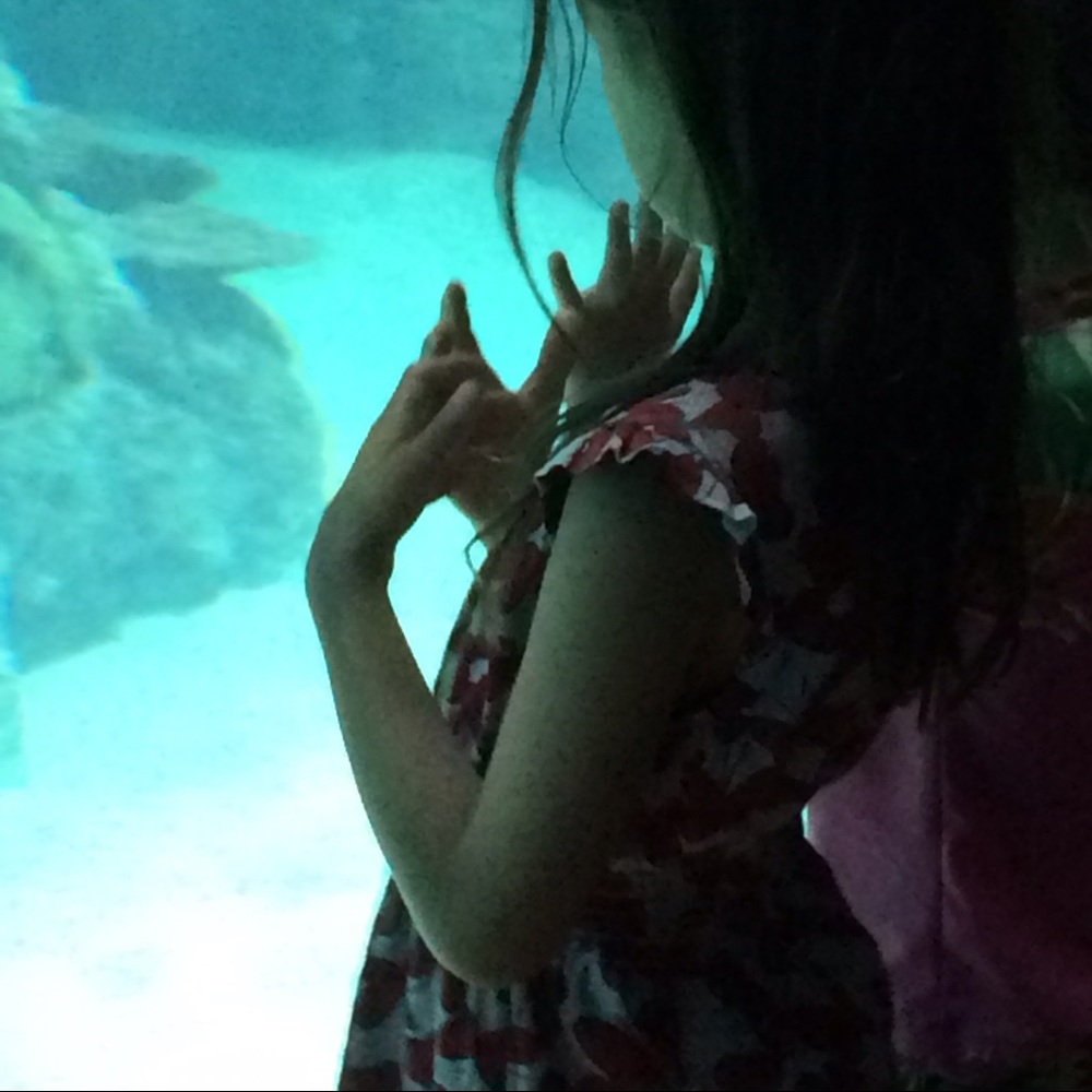 Meet your Posher, Diana