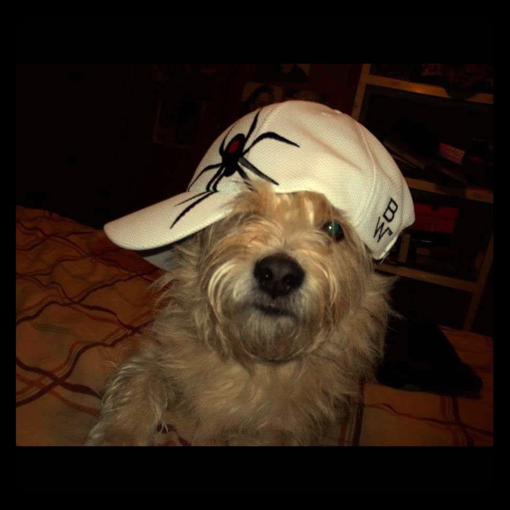 Make Me An Offer 🐾