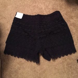 NWT loft shorts