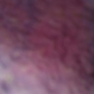 Meet your Posher, Selene