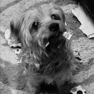 Meet your Posher, Heather