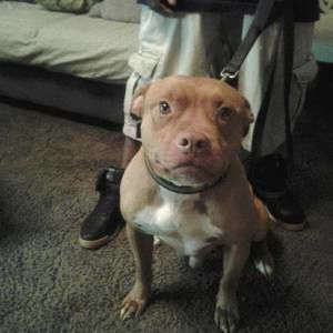 Meet your Posher, Xavier