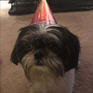 Meet your Posher, Karen