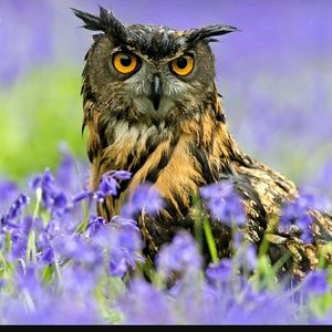 Meet your Posher, Teresa