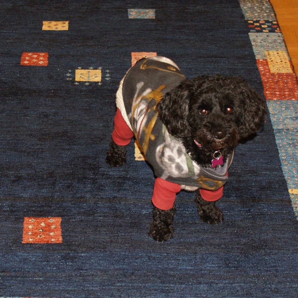 Meet your Posher, Purple