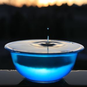 Meet your Posher, Connie