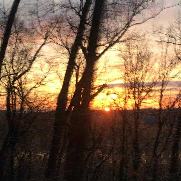 Meet your Posher, Julian - Picture 1 of 1