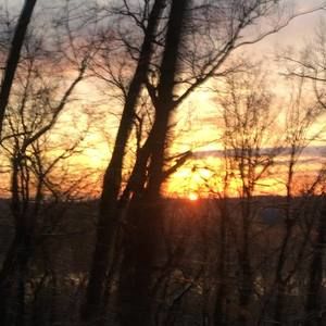 Meet your Posher, Julian